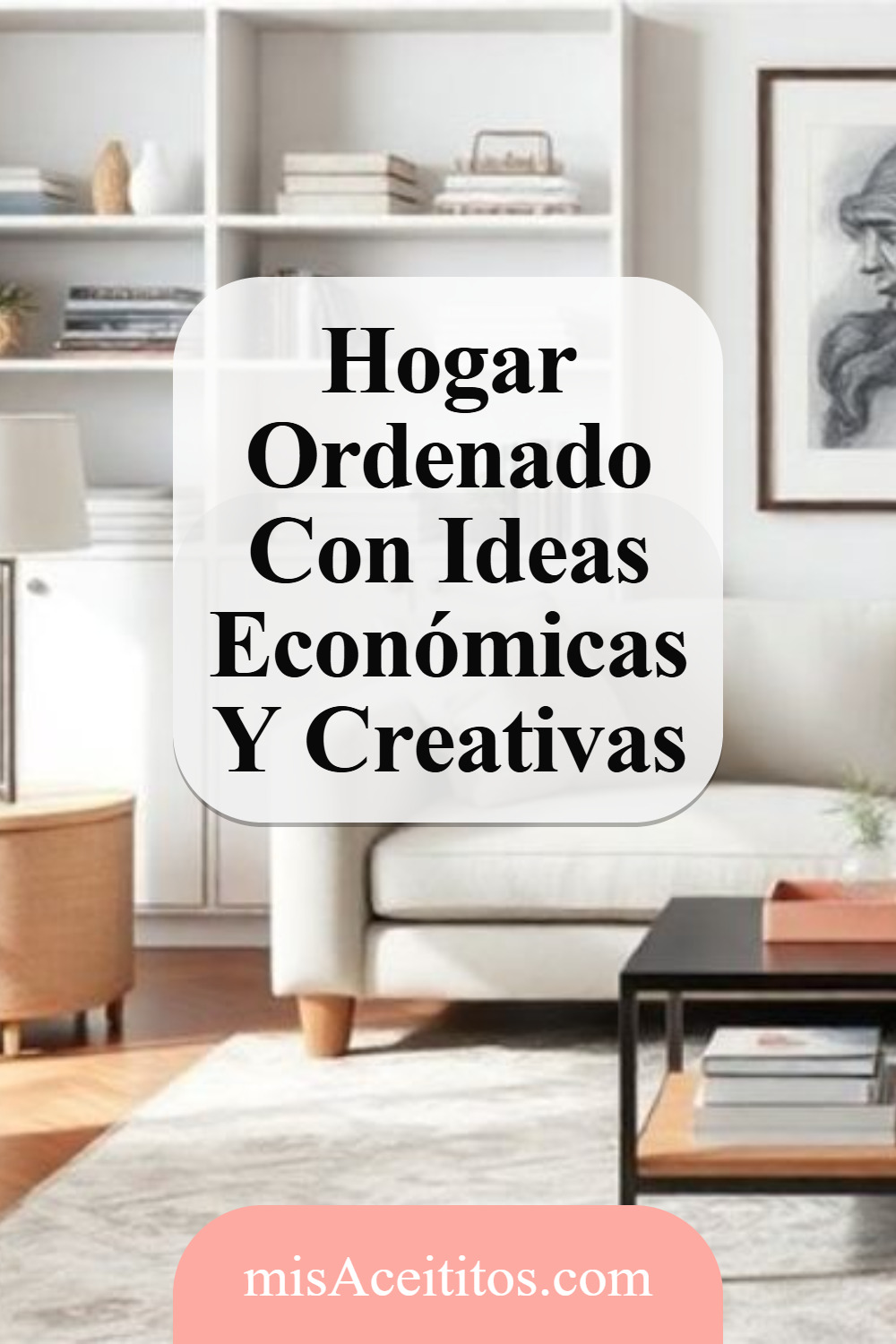 Organiza Tu Casa Con Soluciones De Bajo Costo