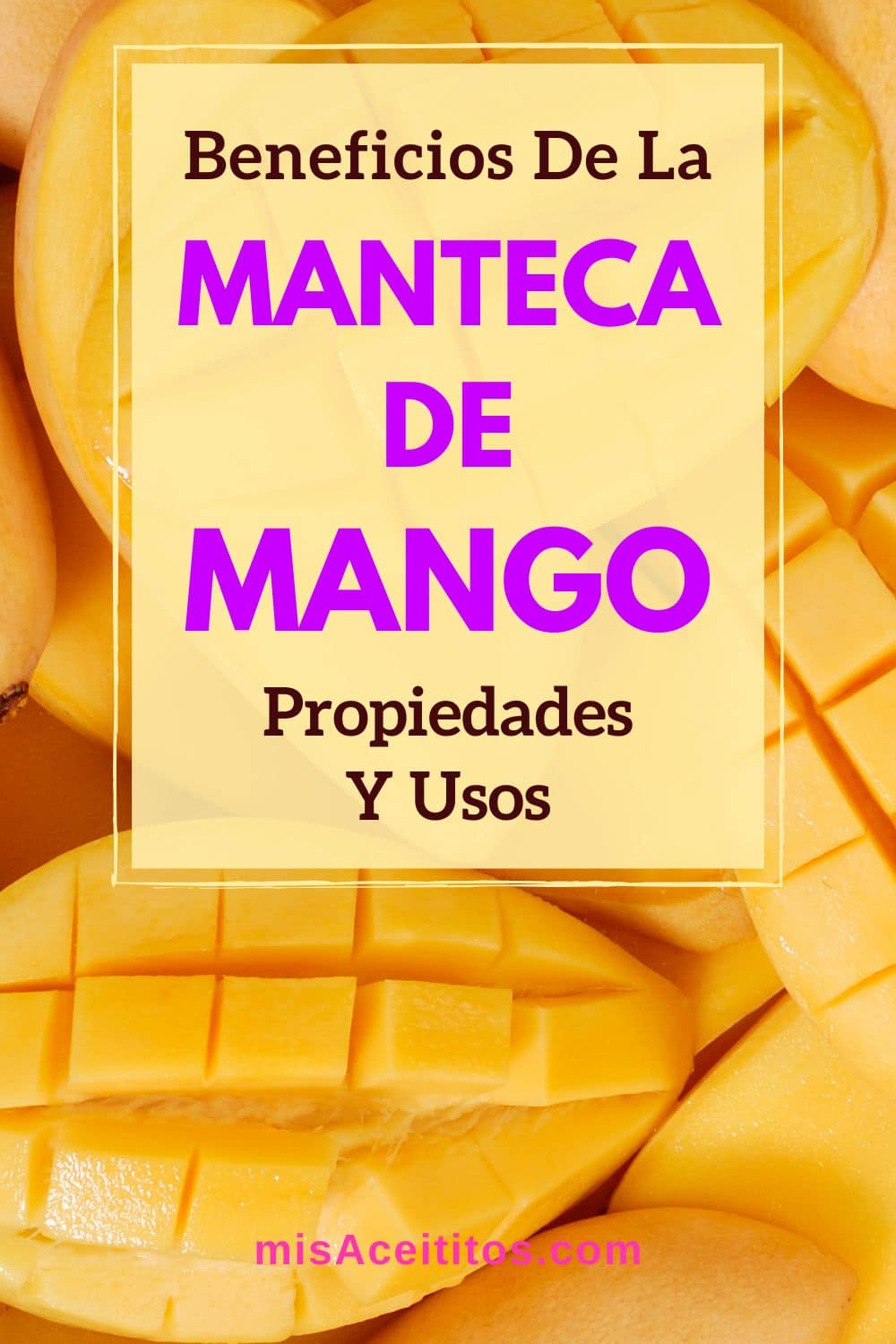 manteca de mango propiedades beneficios usos PIN